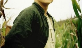 何冰电视剧,情感纠葛与人生抉择